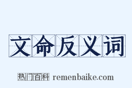 文命反义词是什么意思的图片